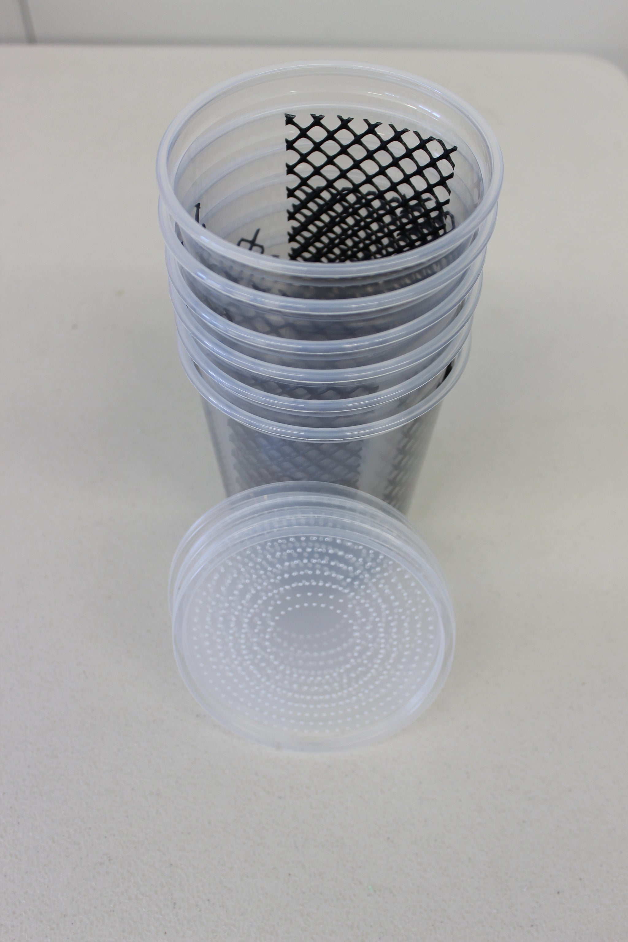 Pre-Made Cooked Hornworm Food Cup Only - For Feeding Reptile Or Insect Pets